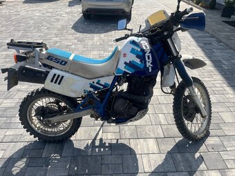 Suzuki DR 650 - 4