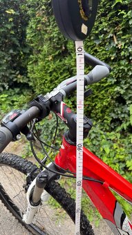Damsky/detsky bicykel Dema Raveo Lady - 4