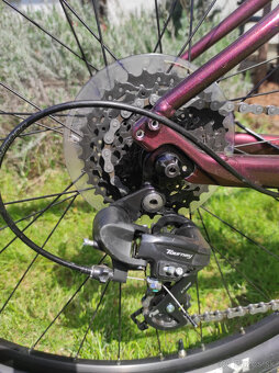 Scott Contessa Active 60 - 4