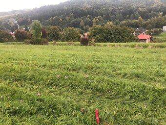 Krasny pozemok s vyhladom na Chopok - 4