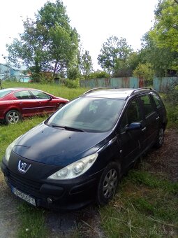 Peugeot 307SW - 4