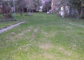 Udržiavanie domu a okolia v Nitre aj mimo Nitry - 4