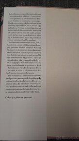 Jodi Picoultova - Veľké malickosti - 4