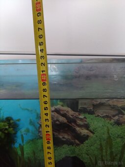 Predám akvarium - 4