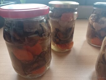 Sušené huby 5balikov250gr/13€+posta - 4