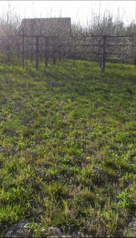 Predaj pozemok/záhrada pri Komárne - 4