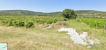 Vinica/TTP 381,5m2 BA - Vajnory - 4