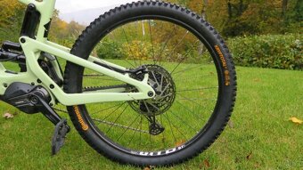 Predam Santa Cruz Heckler - 4