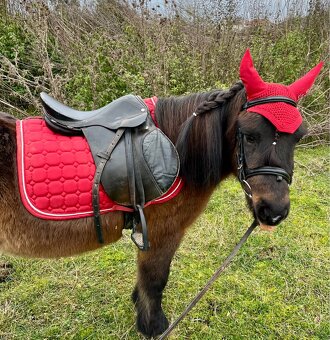 Pony kobylka k detom - 4