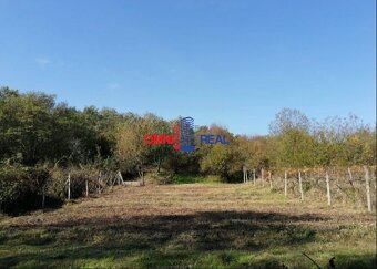Rekreačný pozemok nad Račou neďaleko Stupavskej ulice - 2313 - 4