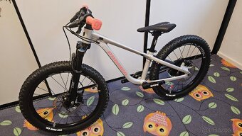 Propain Dreckspatz 3 20" - 4