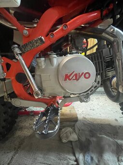 Pitbike Kayo 140tt - 4