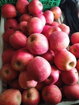 Predám jablká - 4