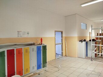 Maliar,maliarske prace,malovanie - 4