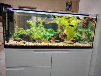 Predám 160l akvárium - 4