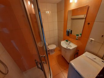 Prenájom 1 izbový byt. - 4