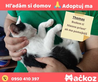 THOMAS a GABRIEL - DARUJEM KOCURIKA / KOCURIKOV NA ADOPCIU - 4