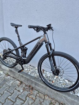 Stevens e inception - 4