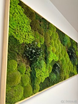 Machový obraz - rastliny - 4