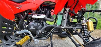 Bashan 200cc vodník - 4