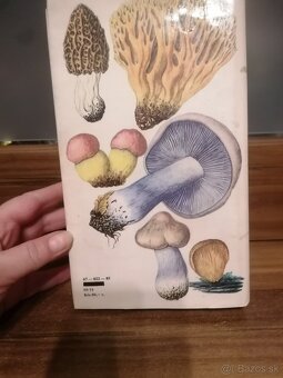 Predám atlas húb - 4