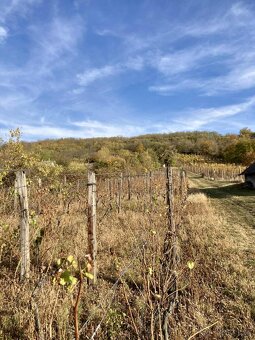 Vinica s chatkou – Hegyfarok, Kamenný Most – predaj/výmena - 4