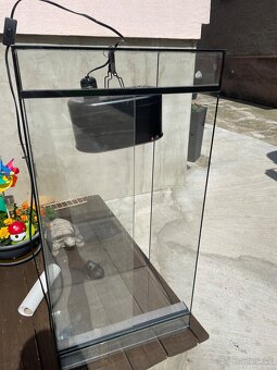 Terarium - 4