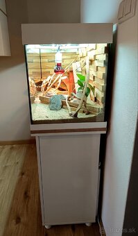 Terarium komplet - 4