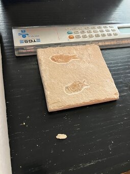 Fosília, skamenelina, rybka - inzerát č.11 Libanon - 4