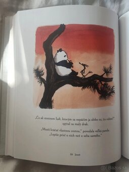 Veľká panda a malý drak; Cesta múdrej mačky - James Norsbury - 4