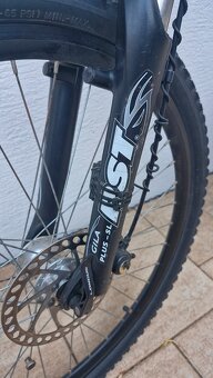 Kellys Salamander - 4