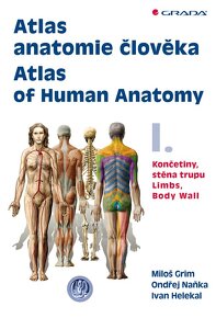 Anatomia e-knihy - 4