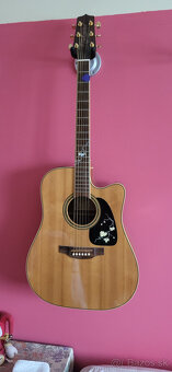 TAKAMINE - 4