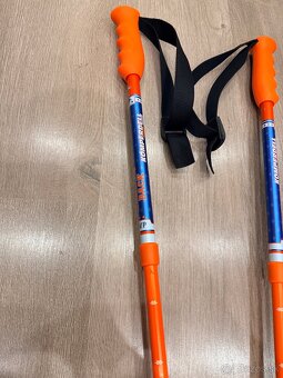 Lyžiarské palice nadstaviteľné - 4