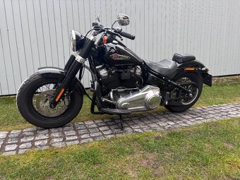 Harley Davidson FLSL - 4