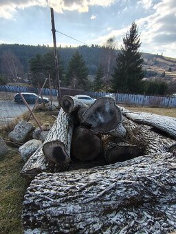 Predám orechové drevo - 4