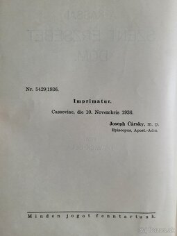 Vojtech Wick Dóm Sv. Alžbety v Košiciach 1936 - 4