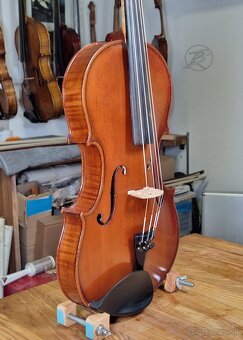 Viola 39 cm - 4