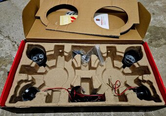 Morel maximus 602 v2 - 4