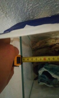 Predám Aqarka - 4