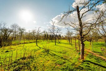 Rodinný dom s krásnou záhradou - 4
