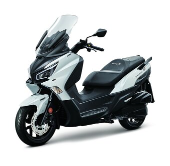 Predam Sym Joymax Z+ 125cm - 4