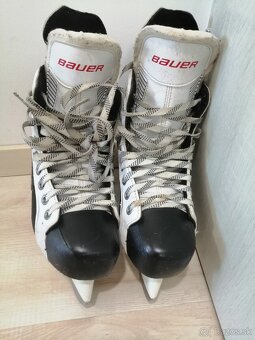 BAUER - 4