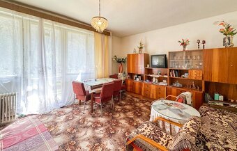 Veľký rodinný dom v obci Hrabičov (Žarnovica) - 4