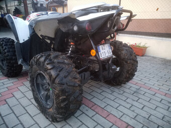 TGB550 Target - 4