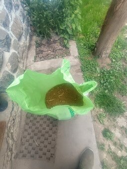 Kukuričný a repkový šrot - 4