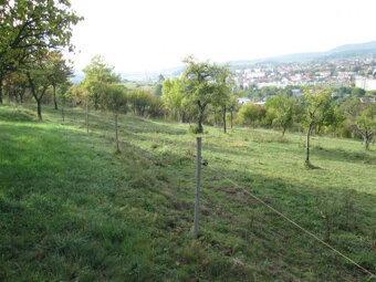 Pekná parcela v Krupine Populárna Exluzívne - 4