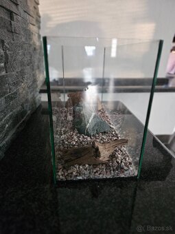 Akvárium 50x20cm - 4