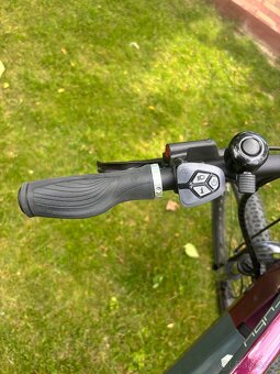 Damsky Elektrobicykel CTM Ruby - 4