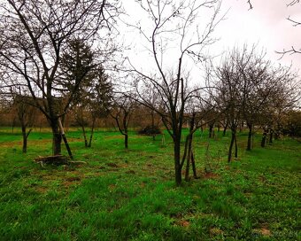 Pozemok na výstavbu RD, 800 m2, MÉRA - Maďarsko - 4